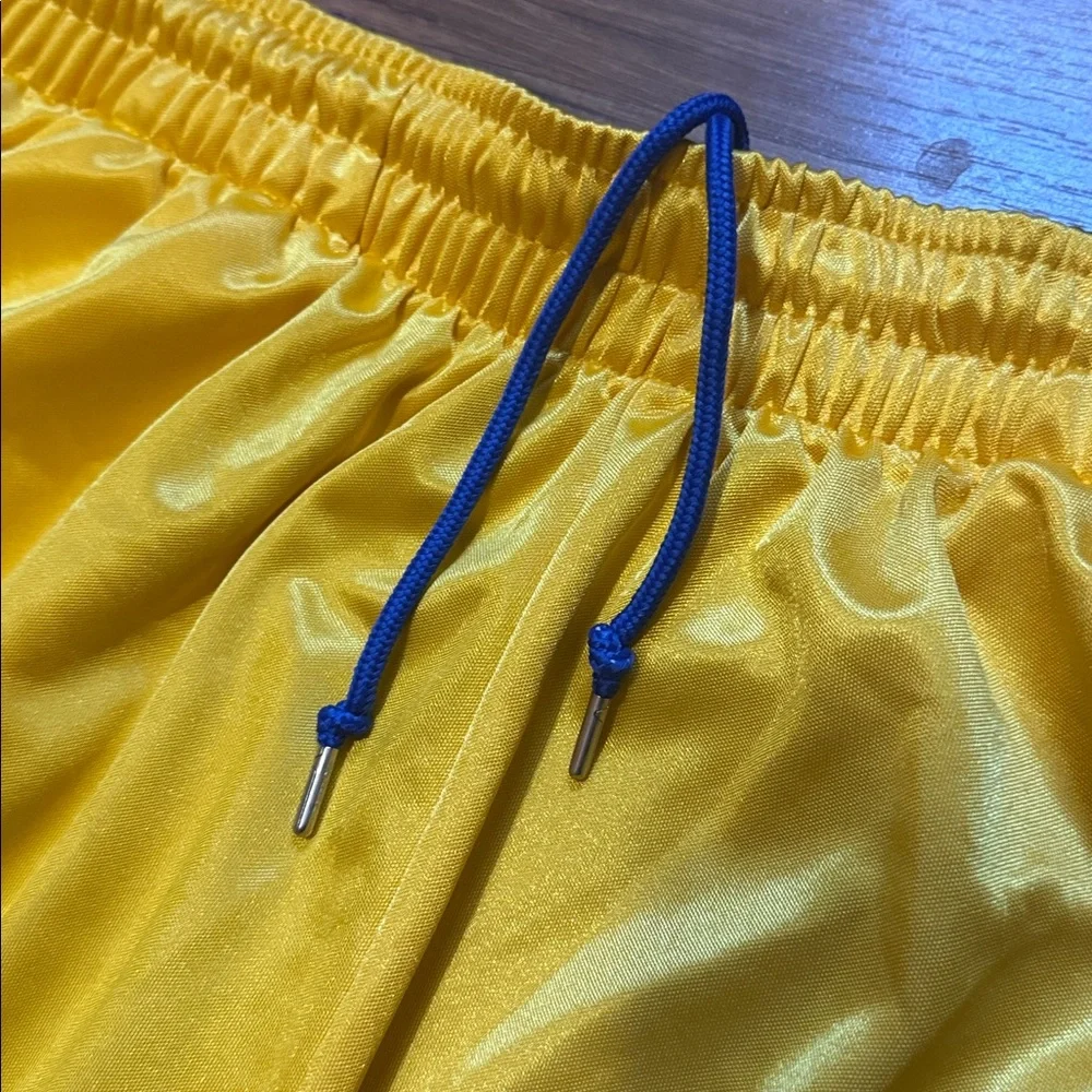 Y2K Jordan Laney Silky Dazzle Shimmer Shorts